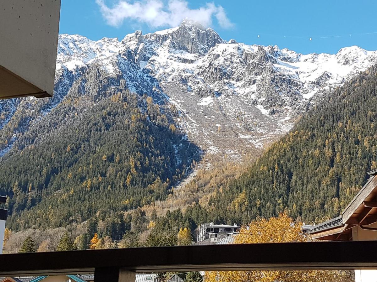 Vue Brevent Sublime En Centre Ville Avec Parking Prive Chamonix Buitenkant foto