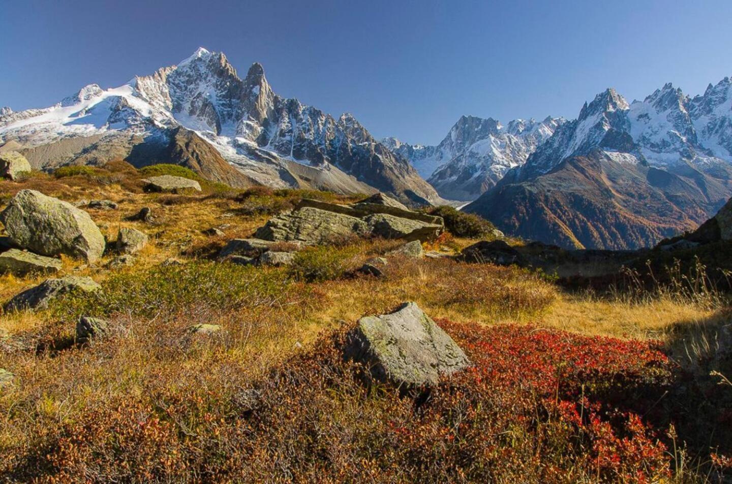 Vue Brevent Sublime En Centre Ville Avec Parking Prive Chamonix Buitenkant foto